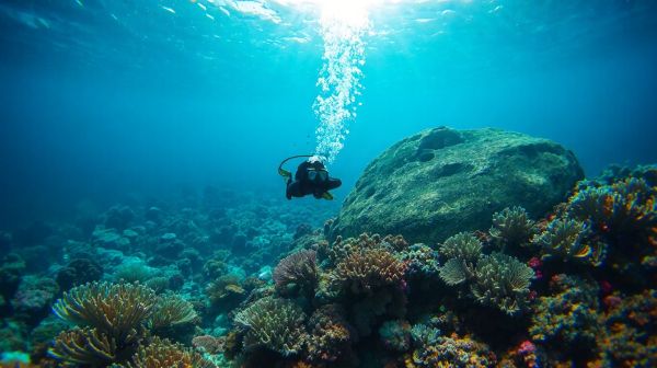 Découvrir la plongée : expériences au-delà des profondeurs